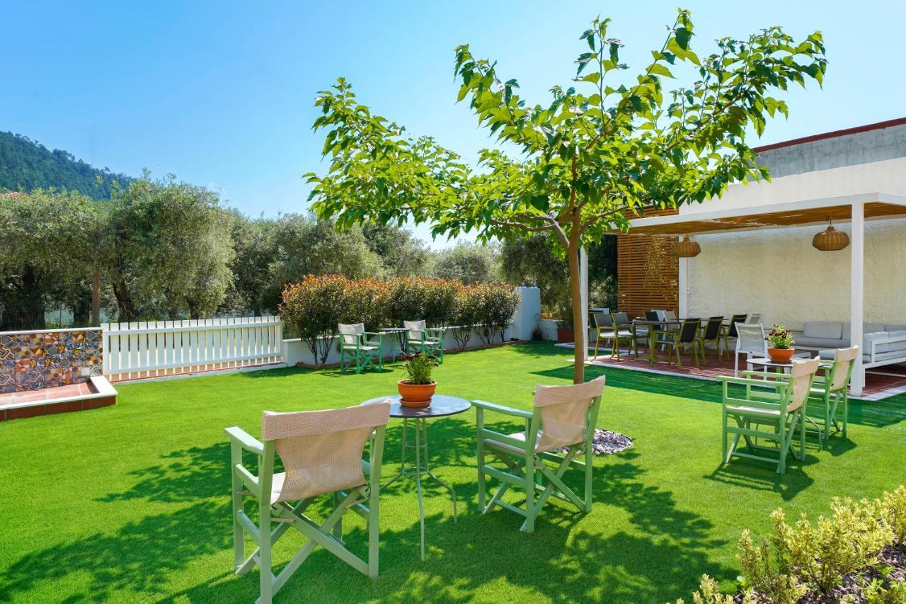 Kalesma Golden Beach Chrysi Ammoudia Exteriér fotografie